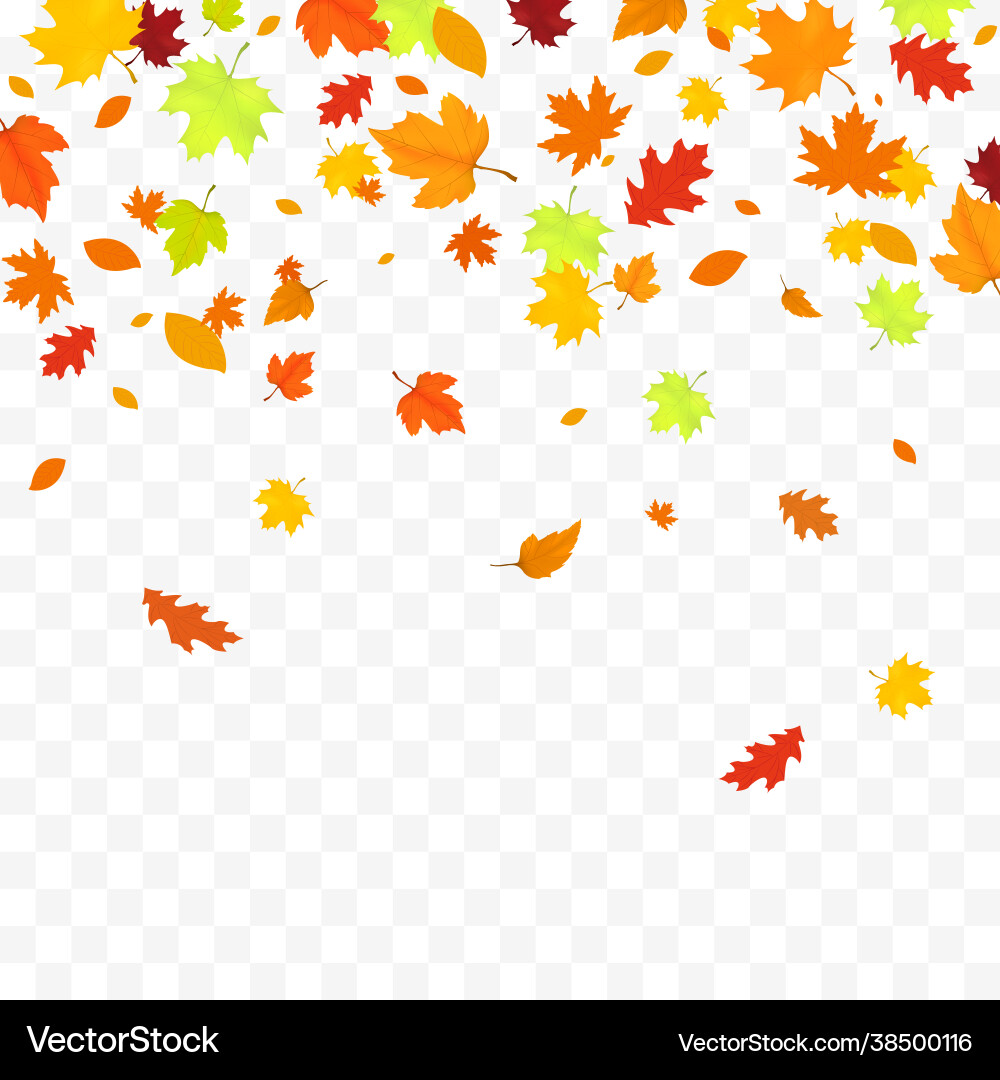 Autumn falling leaves isolated Autumn falling leaves isolated vector image