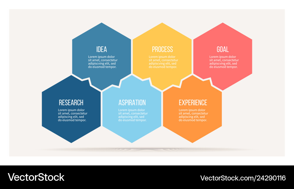 Business infographics with 6 steps options Business infographics with 6 steps options vector image