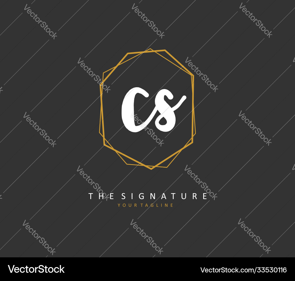 C s cs initial letter handwriting and signature Vector Image