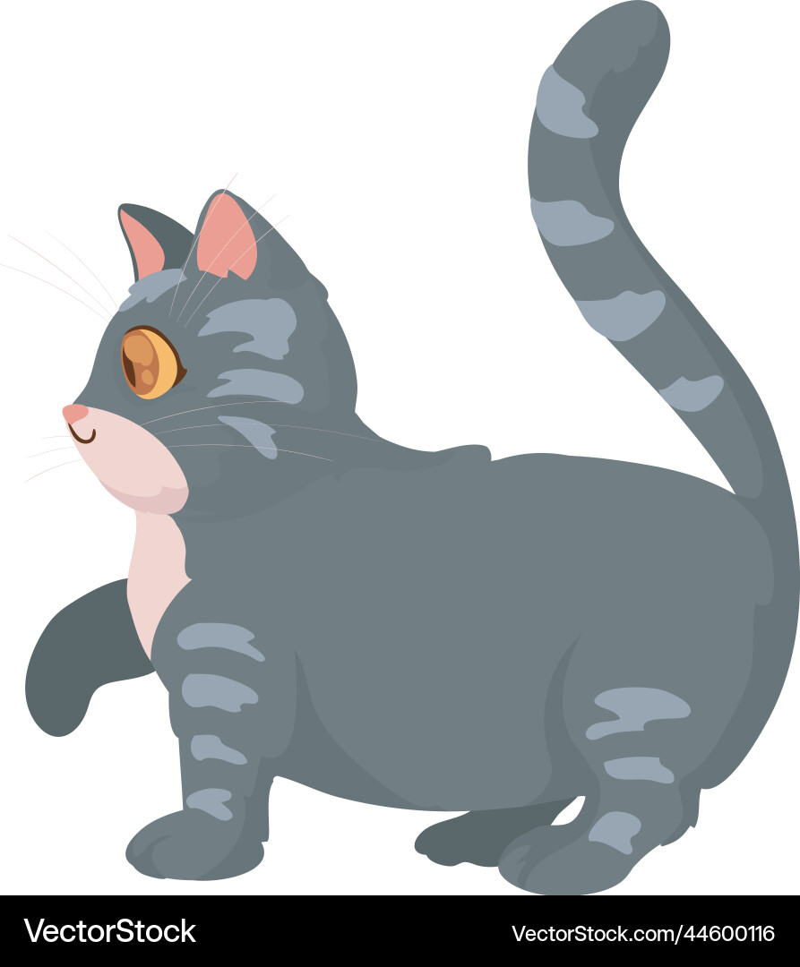 Cute gray cat Royalty Free Vector Image - VectorStock