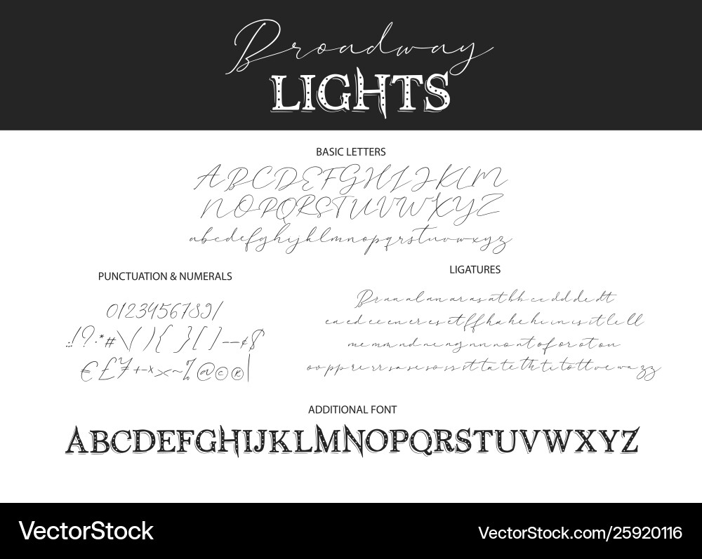 Decorative script duo font vector image