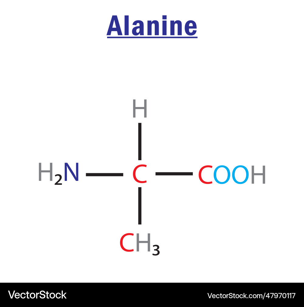Alanine amino acid formula and structure Alanine amino acid formula and structure vector image