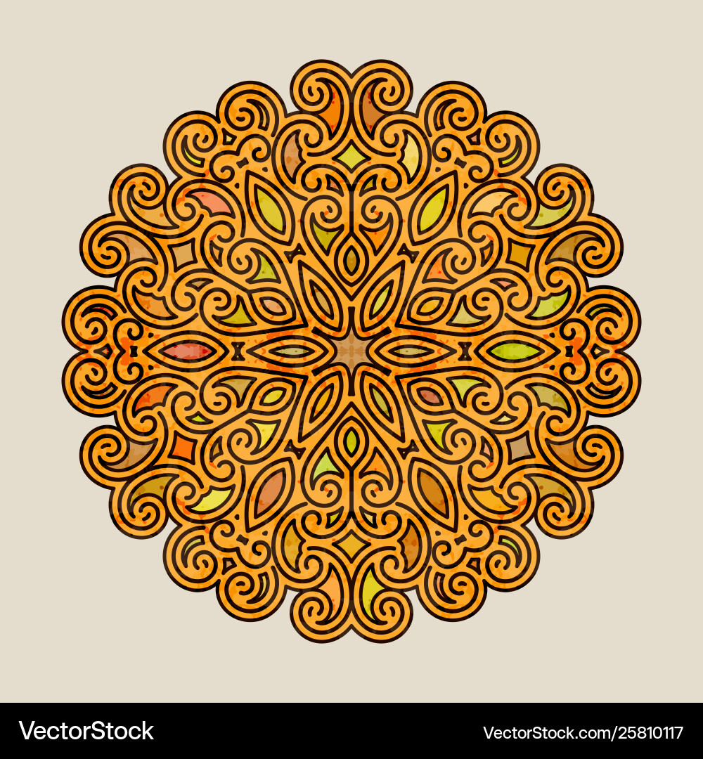 Intricate Mandala Pattern vector image