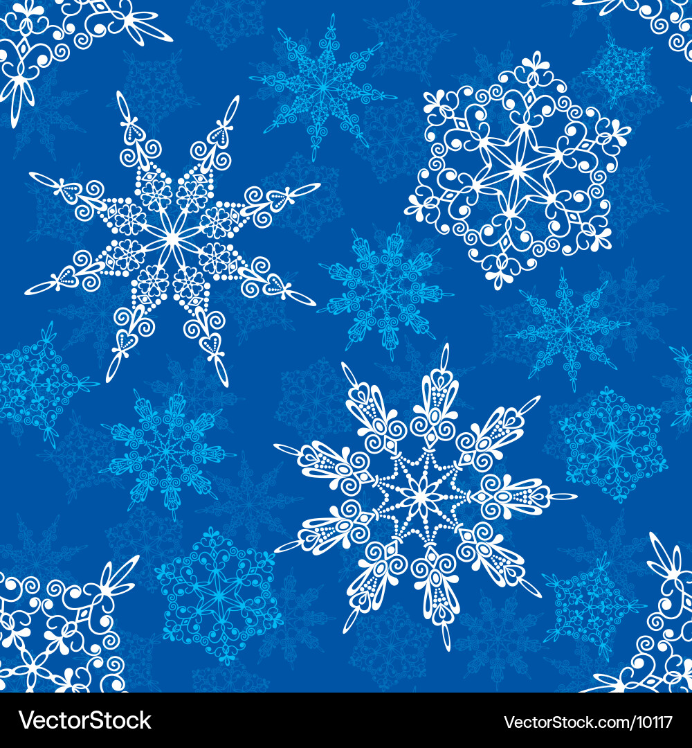 Winter Snowflake Pattern vector image