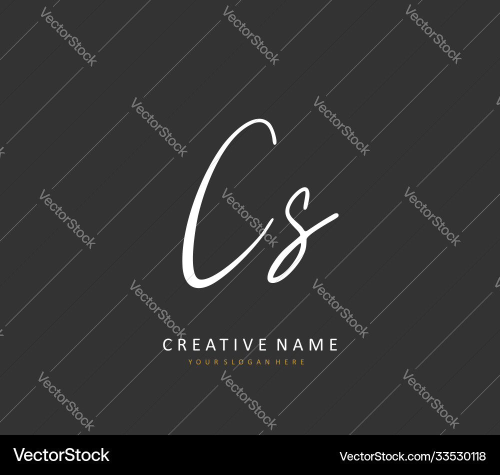 C s cs initial letter handwriting and signature Vector Image