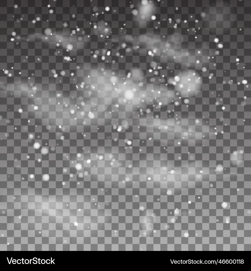 Christmas snow falling snowflakes on transparent Christmas snow falling snowflakes on transparent vector image