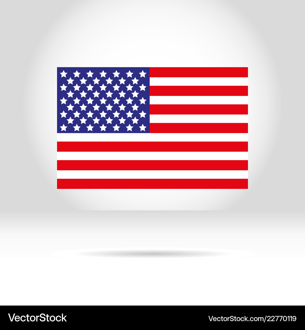 American Flag on White Background Vector Image