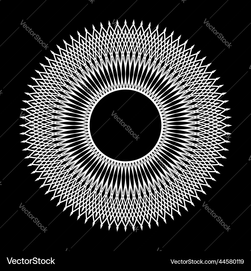 Elegant Radial Circle Pattern vector image