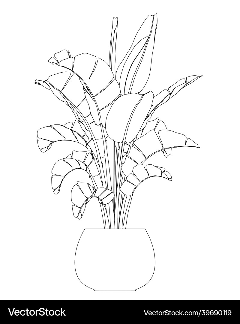 Umweg der heimischen Blume in einem Topf schwarze Linien Umweg der heimischen Blume in einem Topf schwarze Linien vektorbild