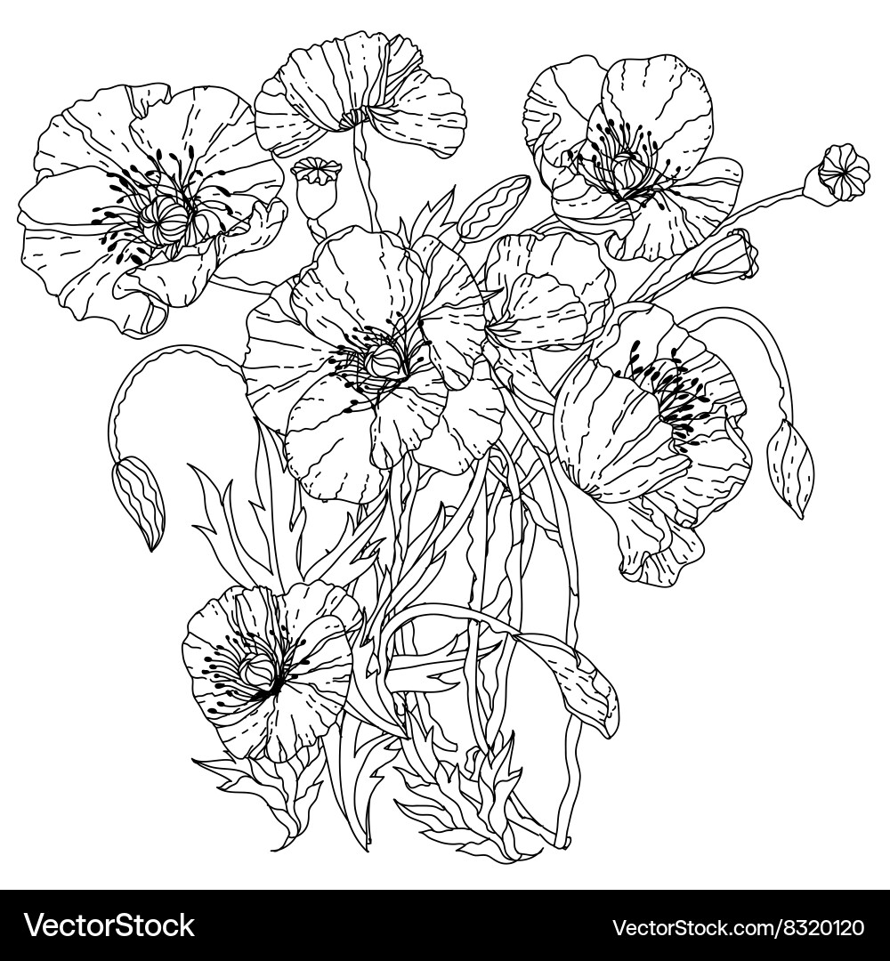 Field Poppies Spring Pattern vector image