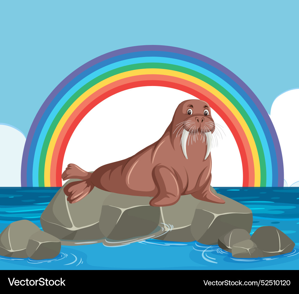 Walrus sitting on rock under rainbow Walrus sitting on rock under rainbow vector image