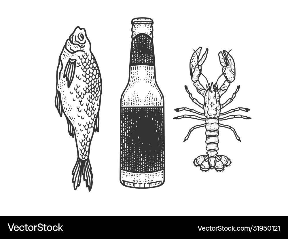 Beer with dried fish and crayfish sketch Beer with dried fish and crayfish sketch Vector Image