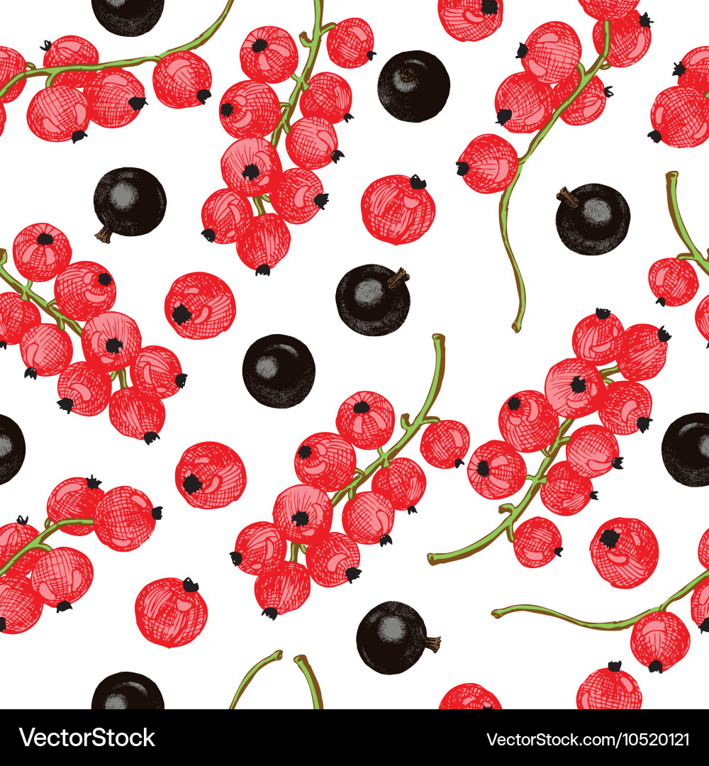 Black and red currant seamless pattern vector image