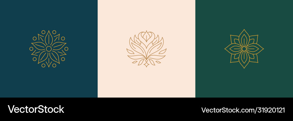 Line minimal decoration design elements set Line minimal decoration design elements set vector image