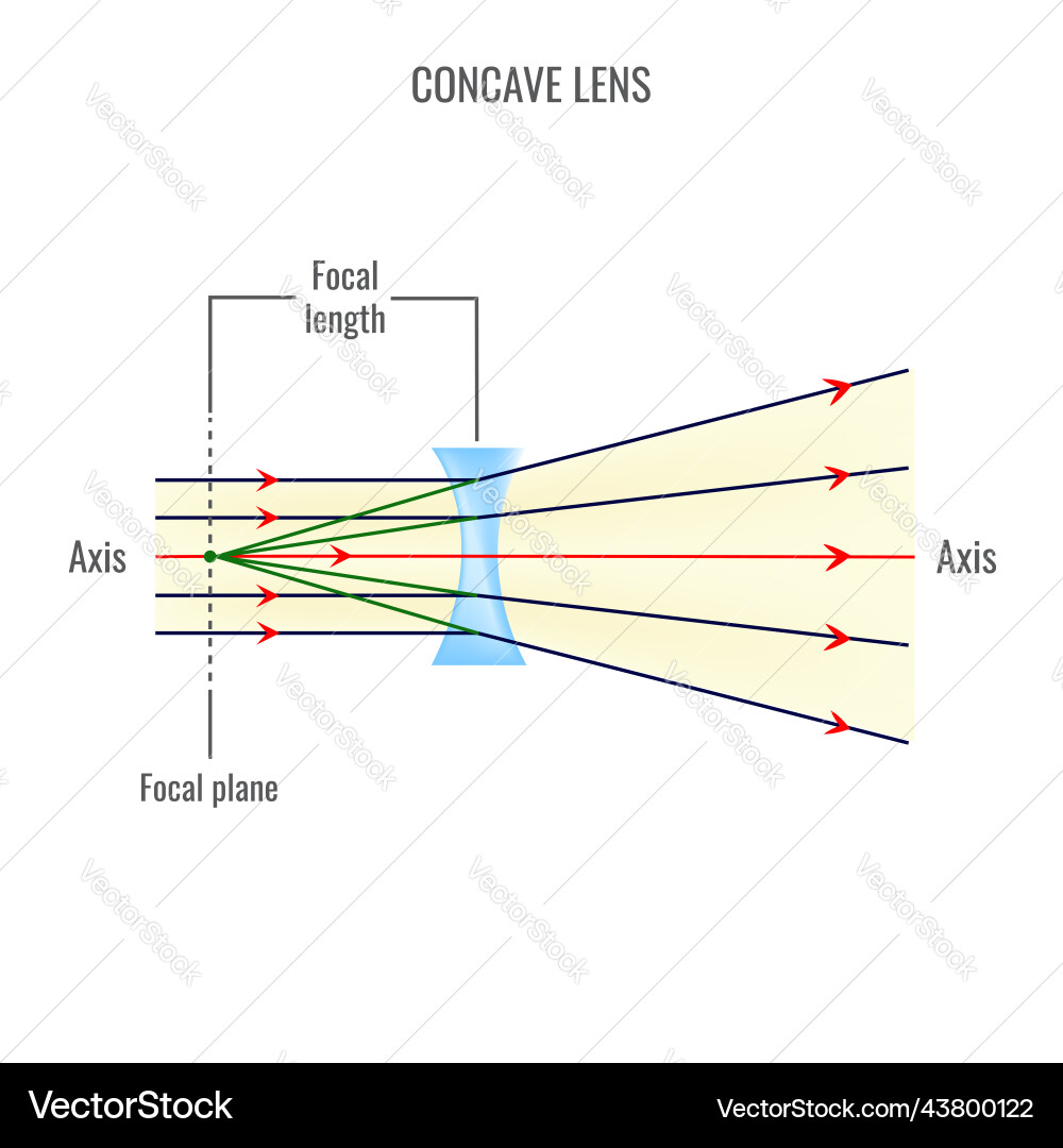 Convex and concave lens diagrams Royalty Free Vector Image
