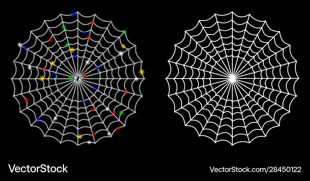 Flare mesh network spider web icon Flare mesh network spider web icon vector image
