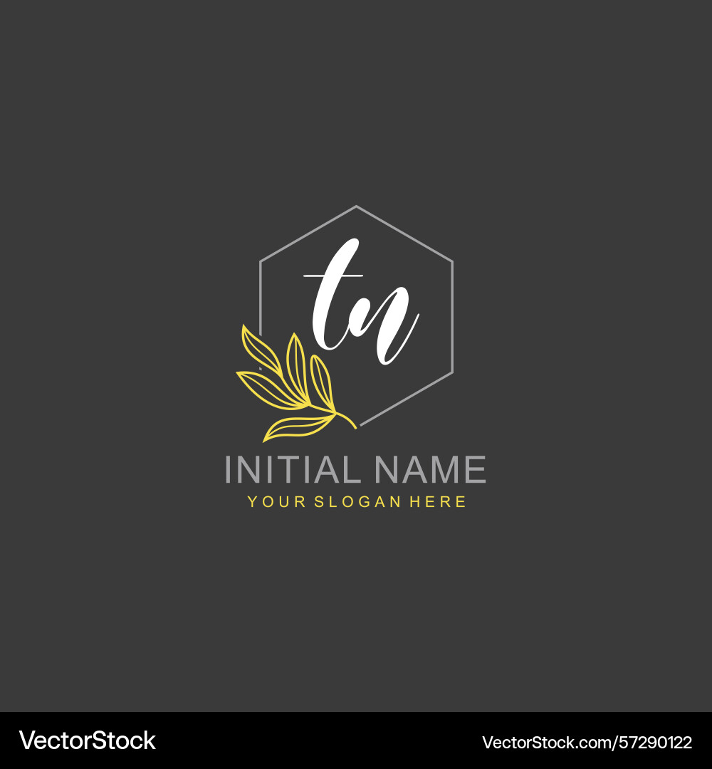 Tn initial logo templates with botanical elements Vector Image