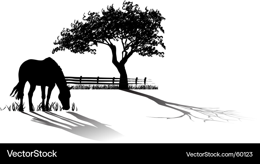 Horse Grazing in Field Vector Image