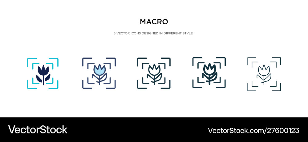Macro icon in different style two colored Macro icon in different style two colored vector image