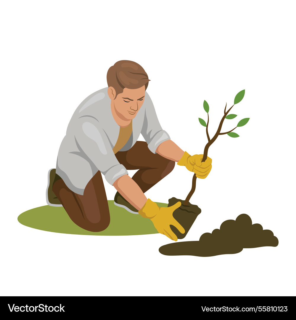Man planting tree sapling with gloves Vector Image