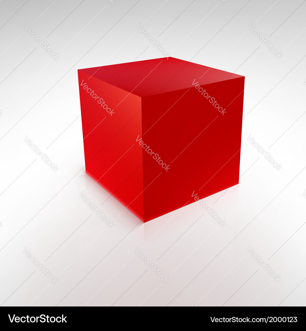 Red Cube with Reflections vector image