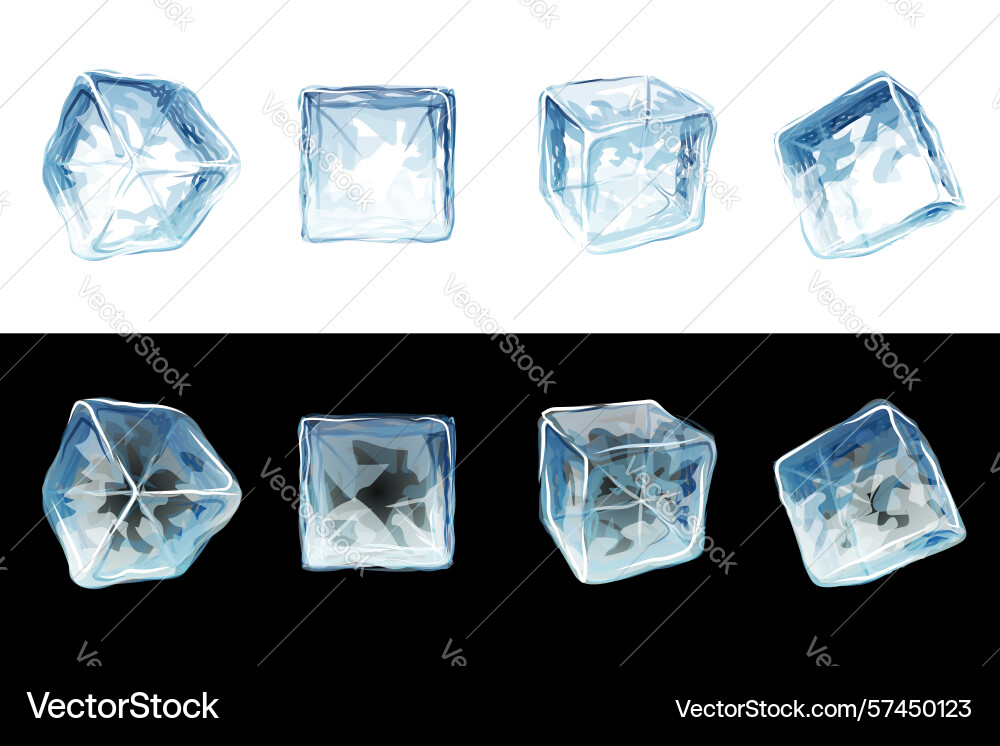 Set of transparent ice cubes from different angles Vector Image