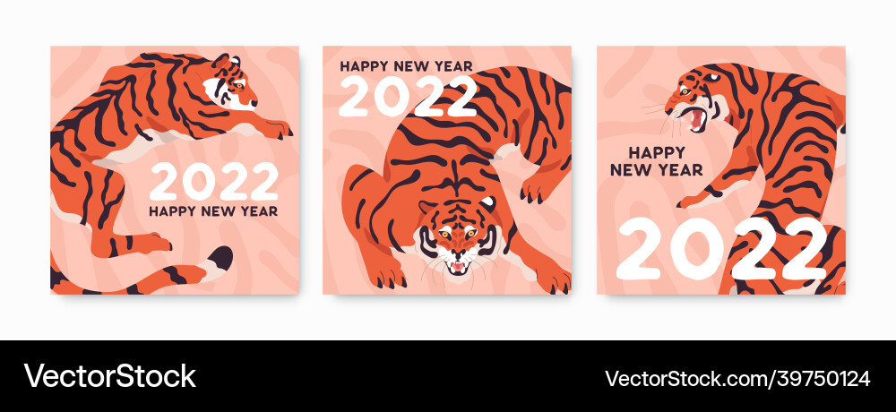 Chinese New Year Tiger Cards Vector Image