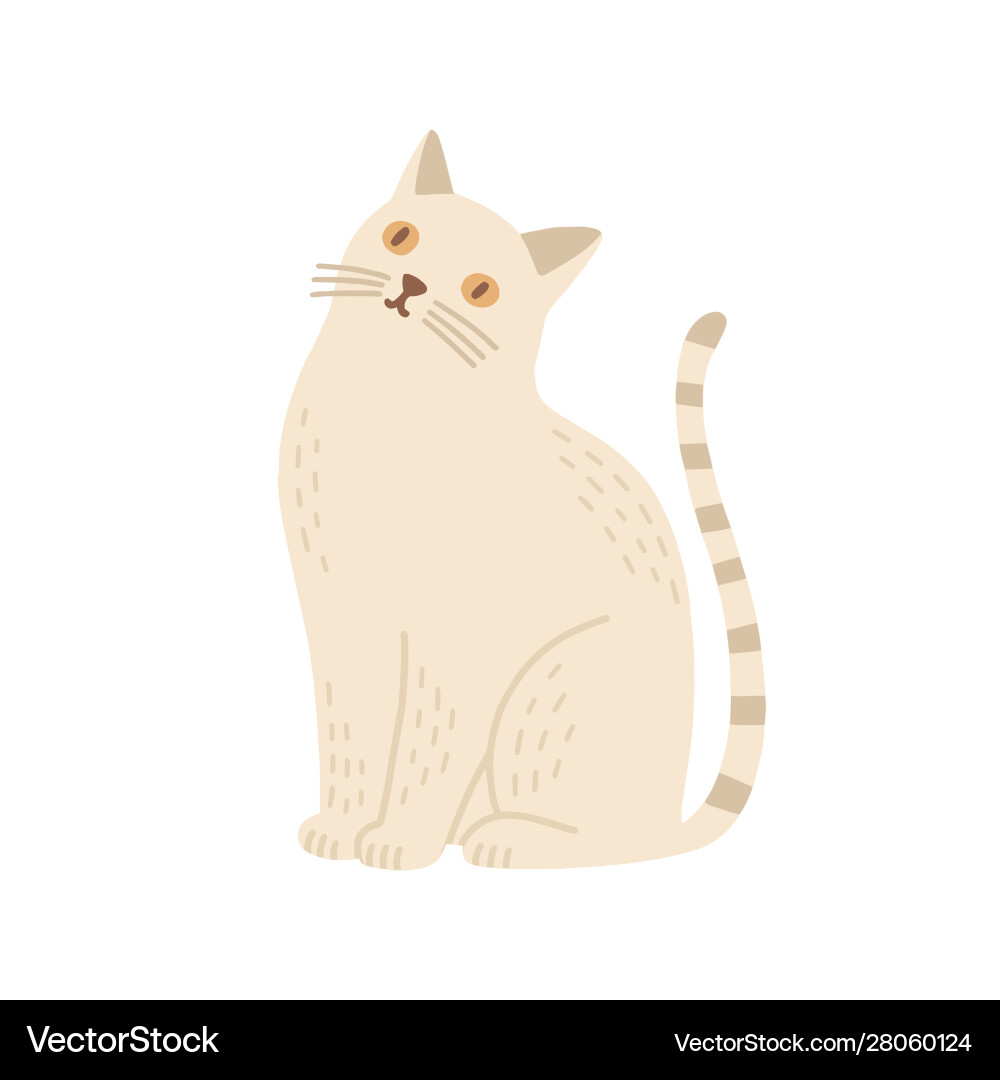 Hauskatze flach kinder Hauskatze flach kinder vektorbild