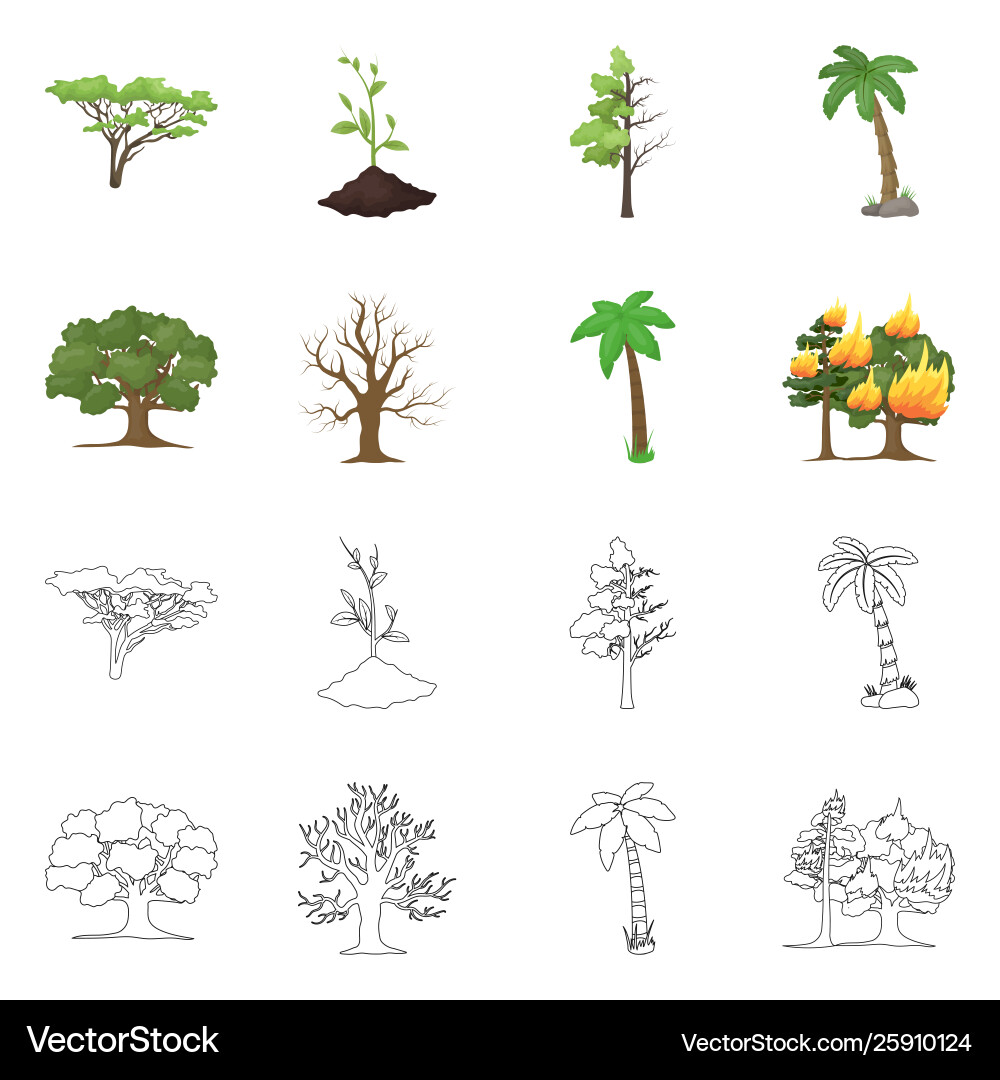 Isolated object tree and forest logo set vector image