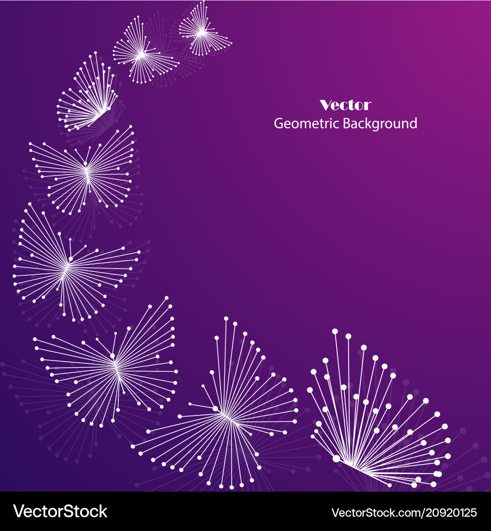 Geometric pattern with connected lines and dots vector image