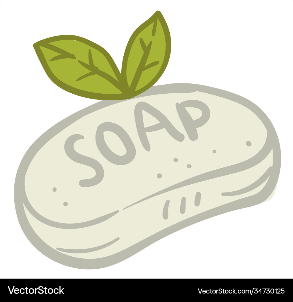 Organic soap cosmetics product and hygiene vector image