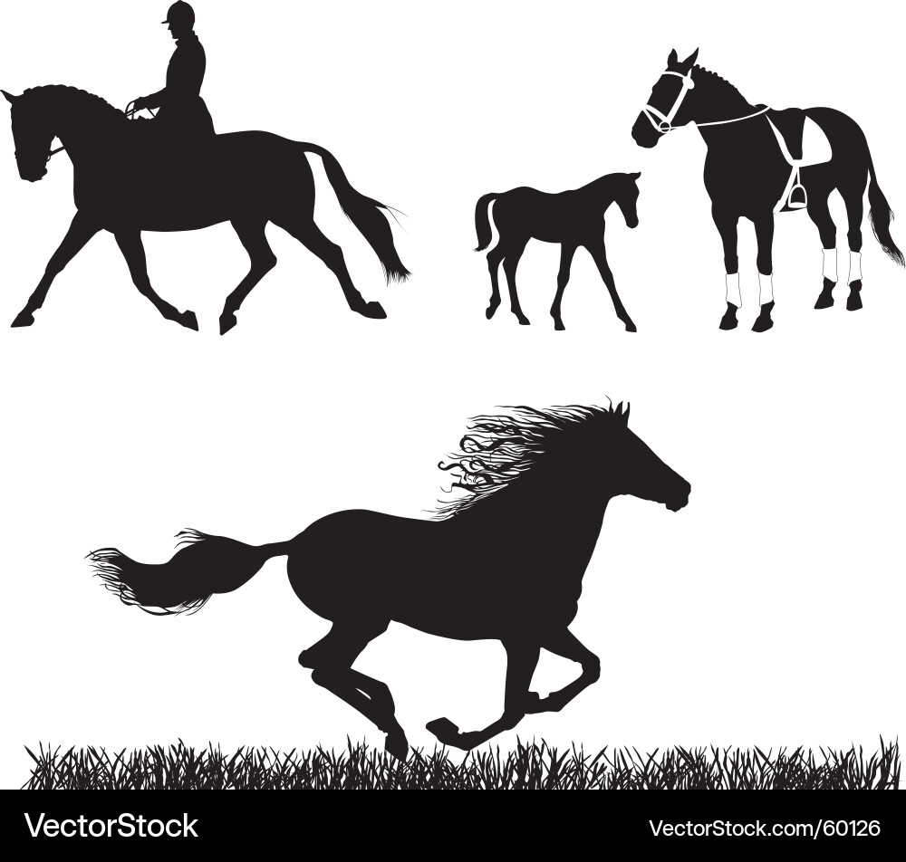 Equestrian Horse Silhouettes vector image