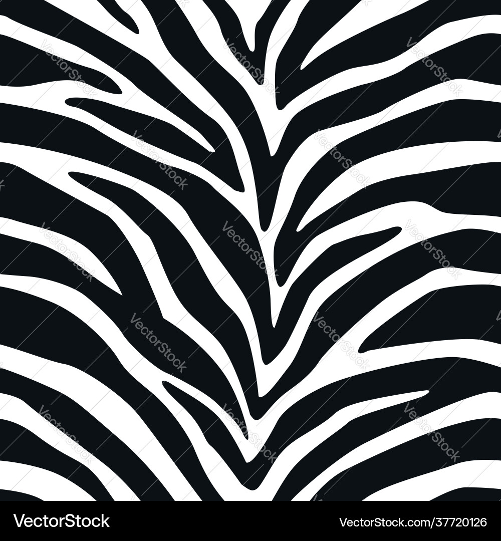 Zebra Stripes Pattern vector image