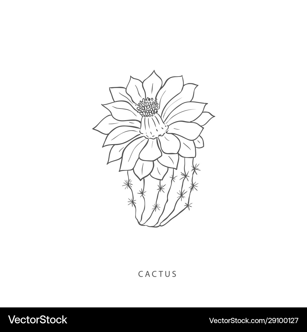 Grüne Designelemente botanische Logos Grüne Designelemente botanische Logos vektorbild