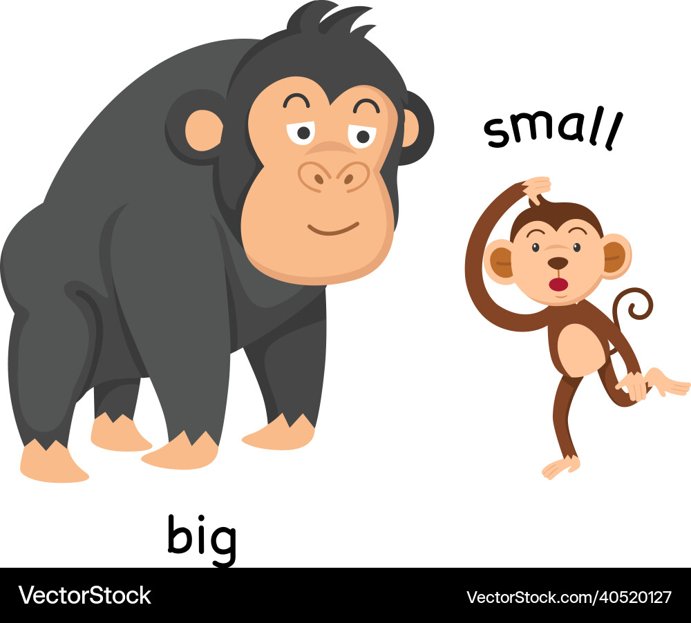 Opposite big and small Royalty Free Vector Image