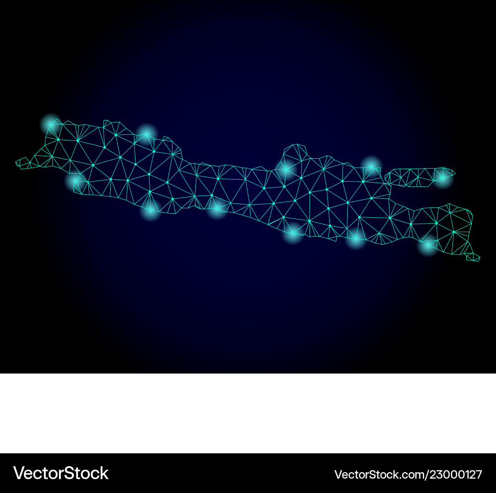 Polygonal carcass mesh map java island Polygonal carcass mesh map java island vector image