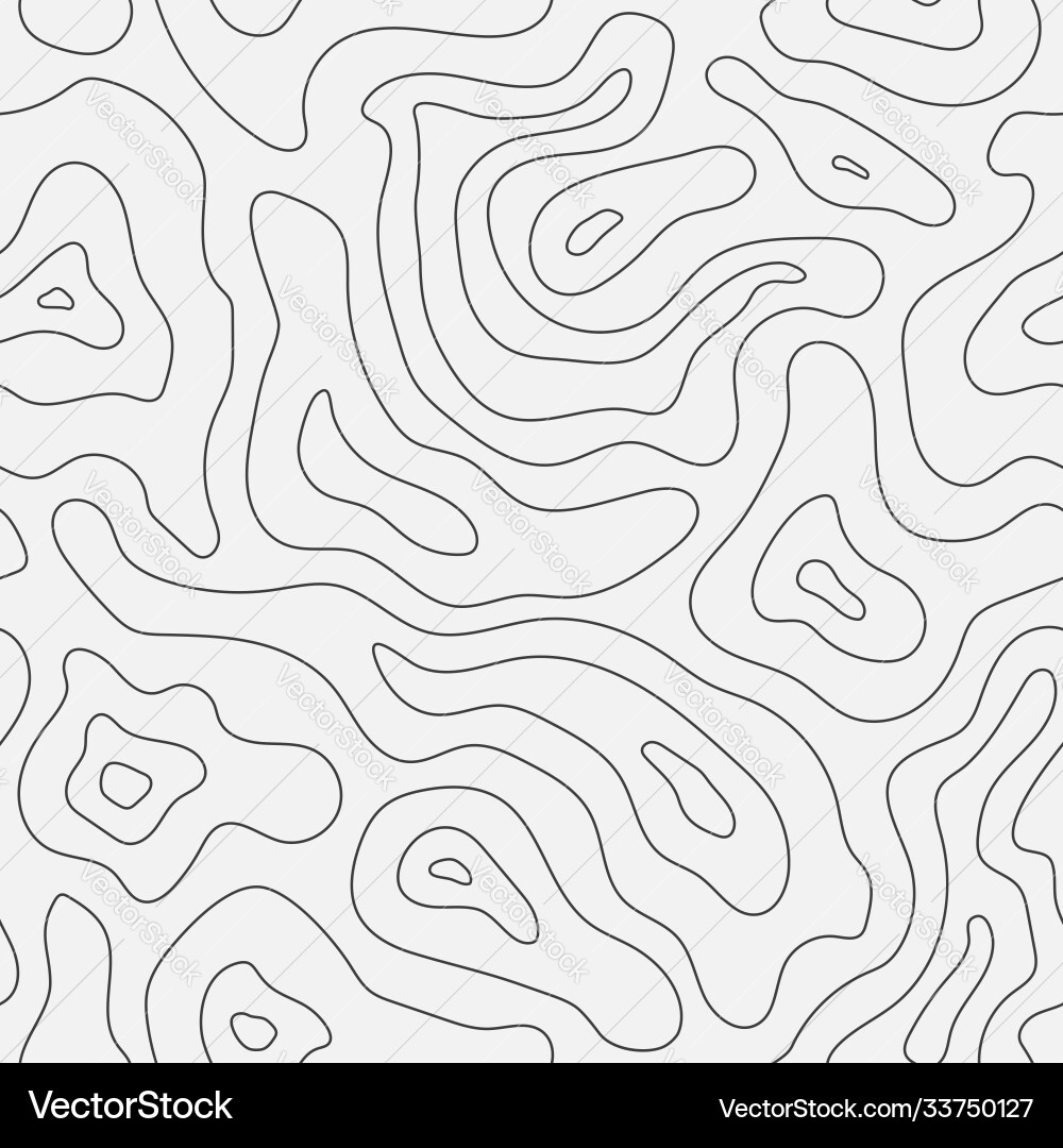 Topographic Map Seamless Pattern vector image