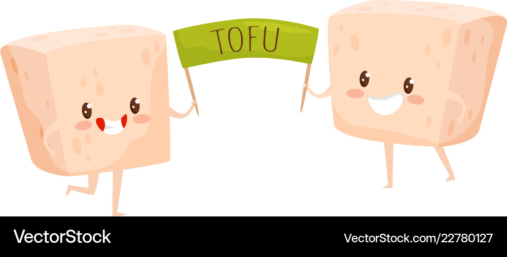 Two Smiling Tofu Characters vector image