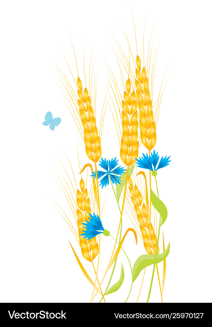 Wheat Royalty Free Vector Image - VectorStock