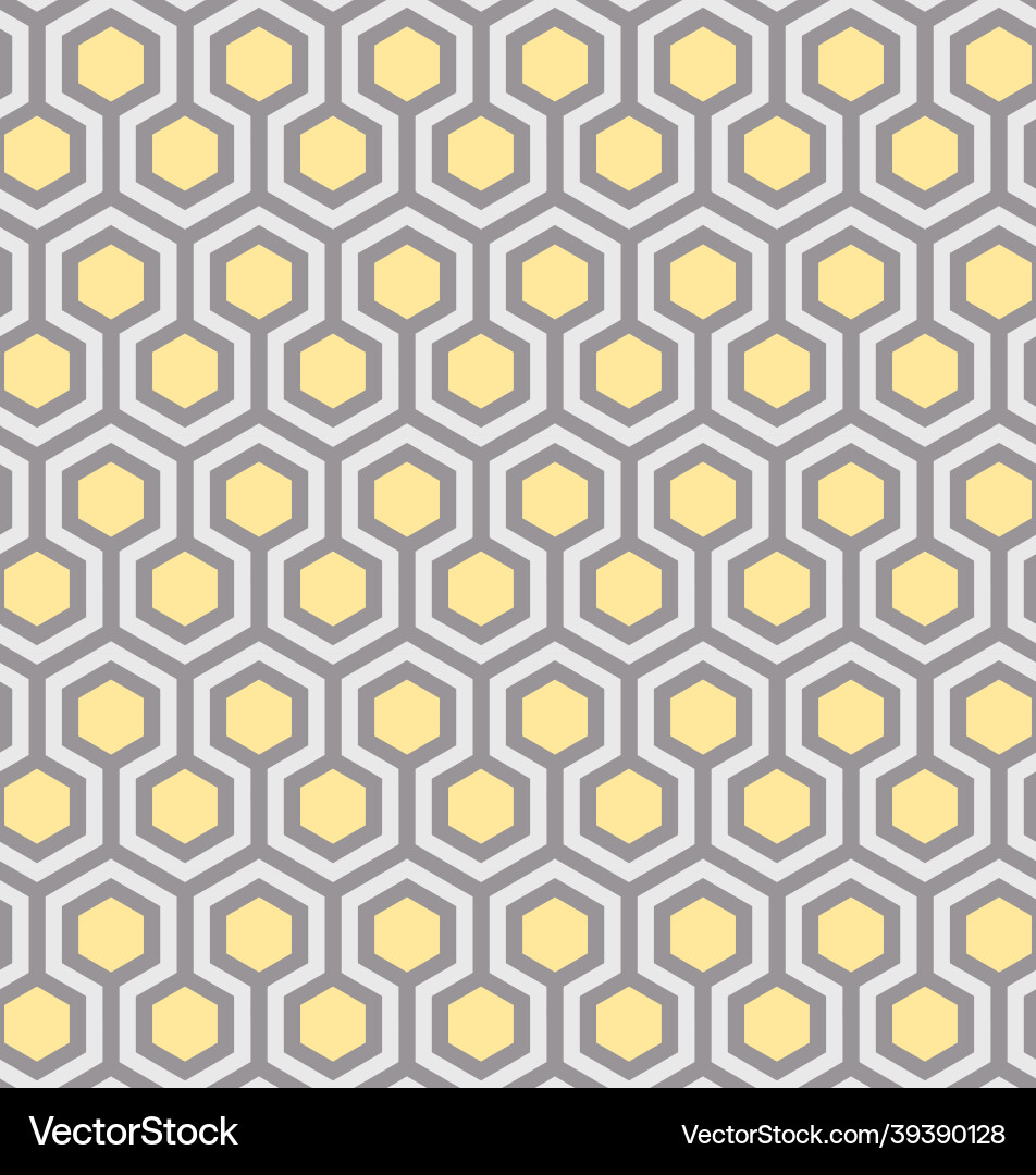 Seamless geometry pattern hexagon vector image