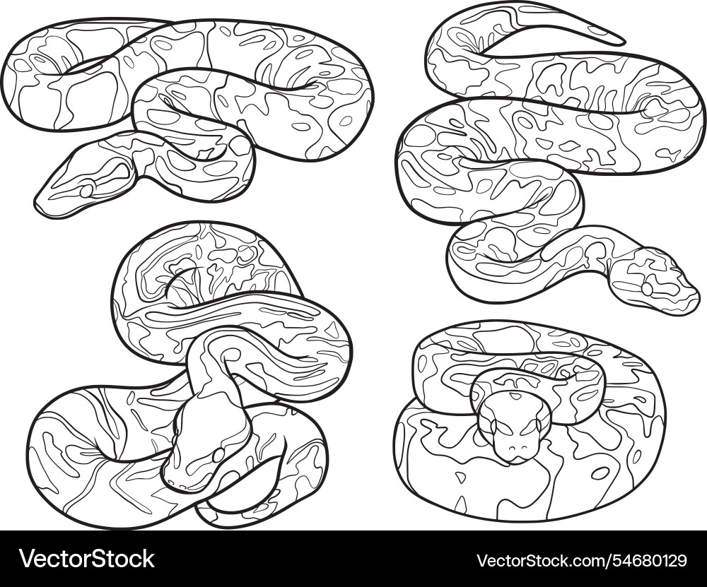 Python set of outline vector image