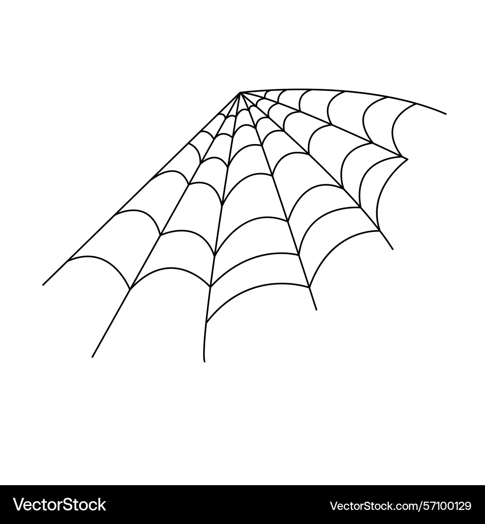 Spider web simple hand drawn outline Spider web simple hand drawn outline Vector Image