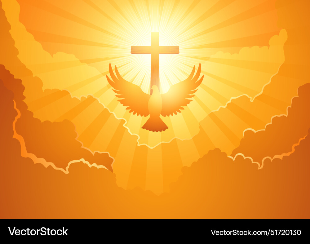 Biblical silhouette pentecost dove Biblical silhouette pentecost dove vector image