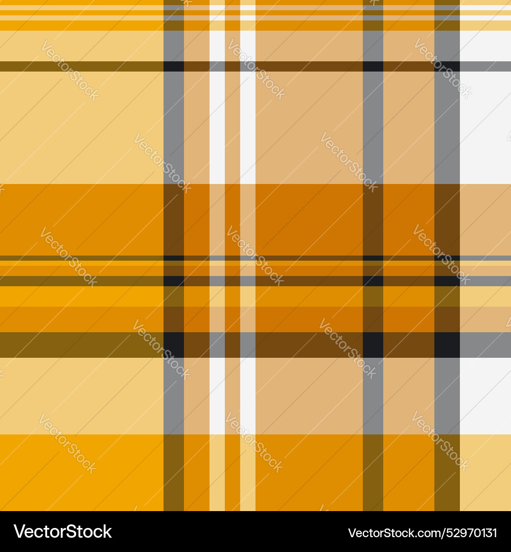Factory check pattern plaid prints background vector image