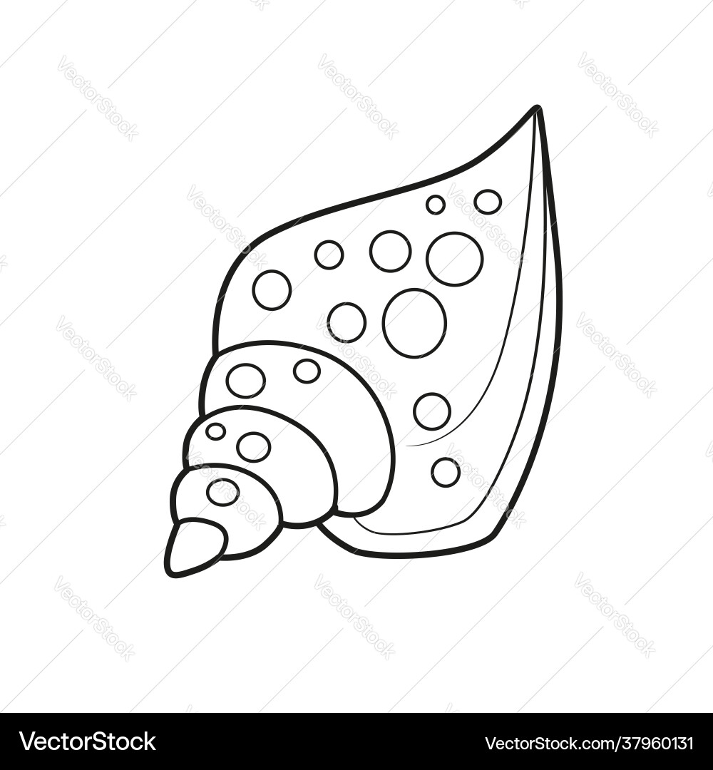 Miter cone shell in dotted outlined Miter cone shell in dotted outlined vector image