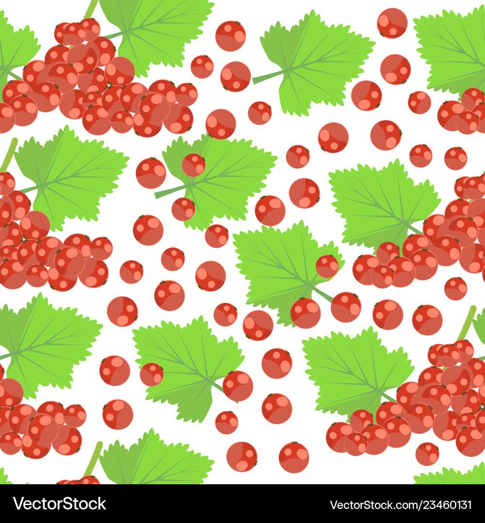 Pattern with red currant Vector Image