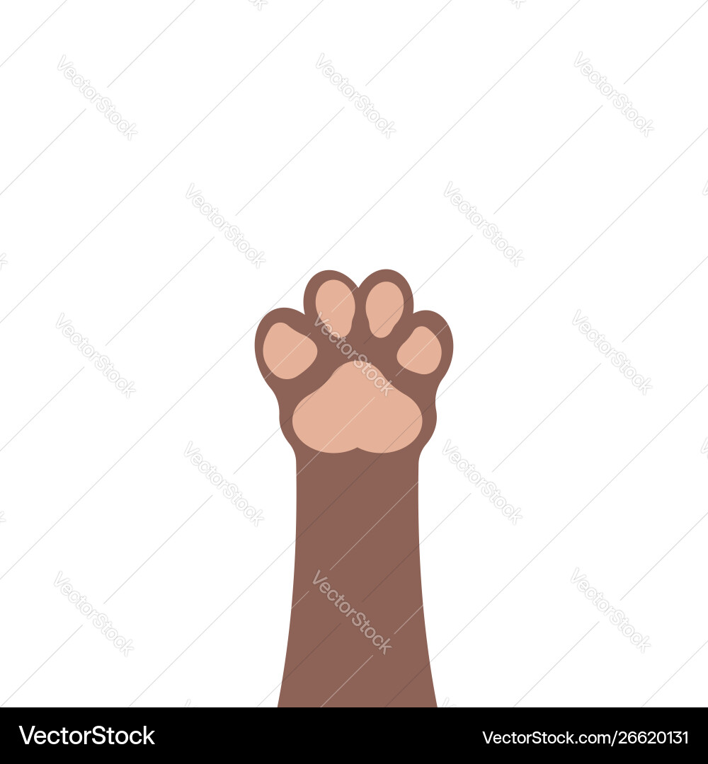Paws up pet isolated on white background Paws up pet isolated on white background vector image