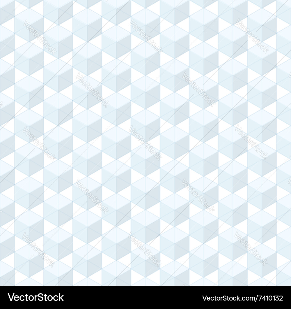 Isometric Box Grid Pattern vector image