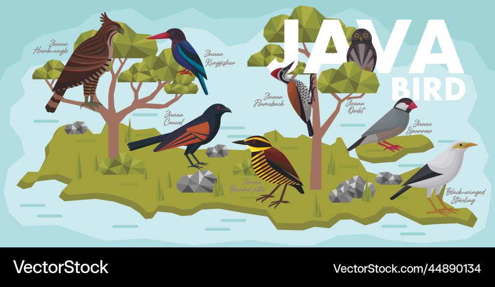 Exotic Birds of Java vector image