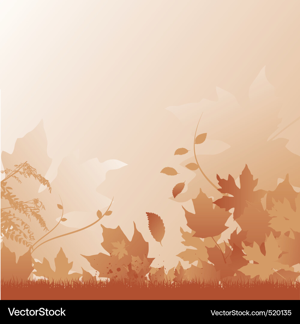 Autumn Leaf Background Vector Image